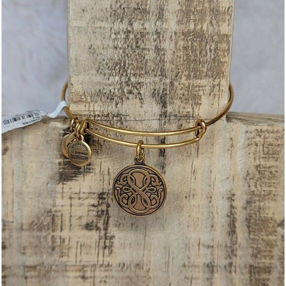 NWT Alex and Ani Path of Life II Charm Bangle Bracelet Rafaelian Gold - Picture 4 of 4